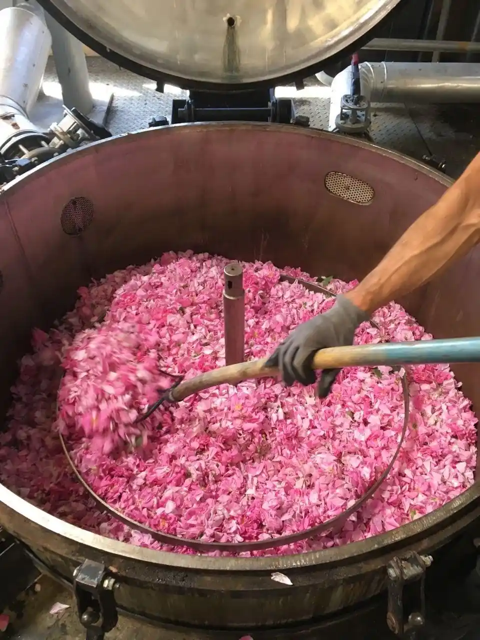 Terra siciliana