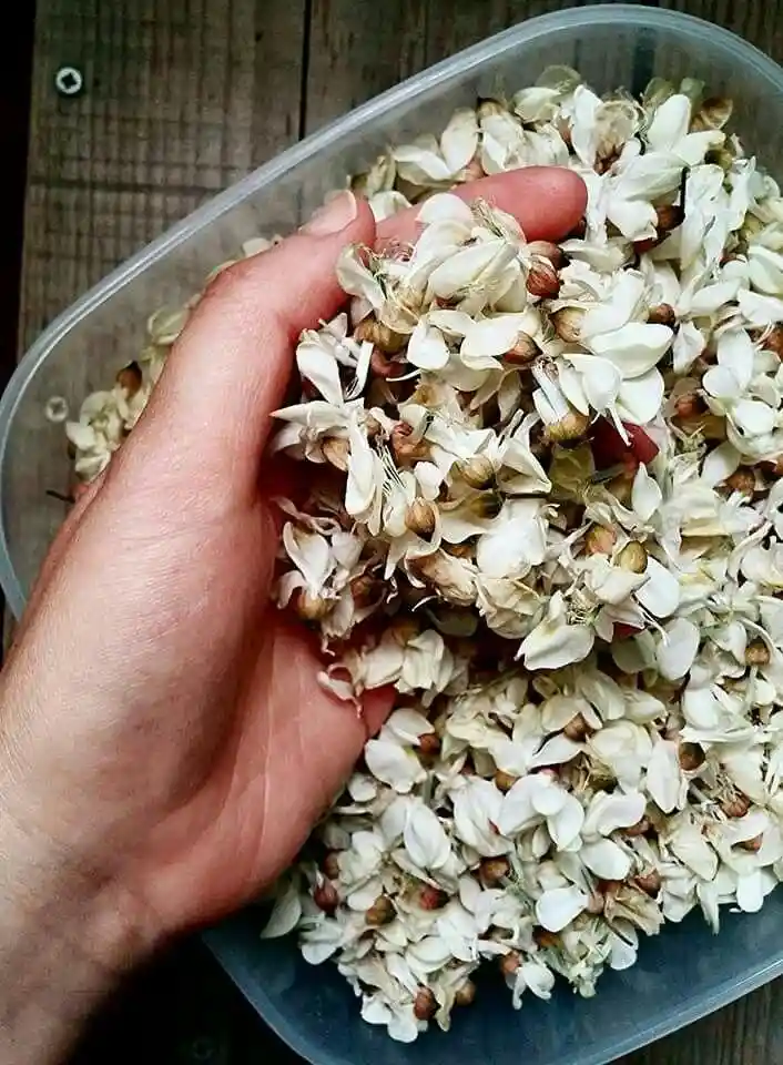 Mani e produzione artigianale