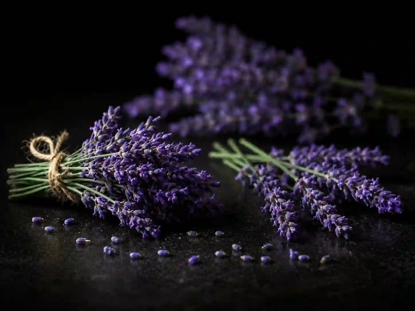 Lavanda
