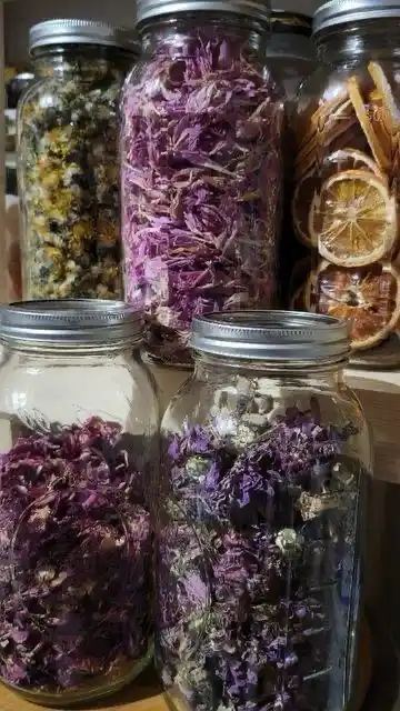 Alchimia botanica